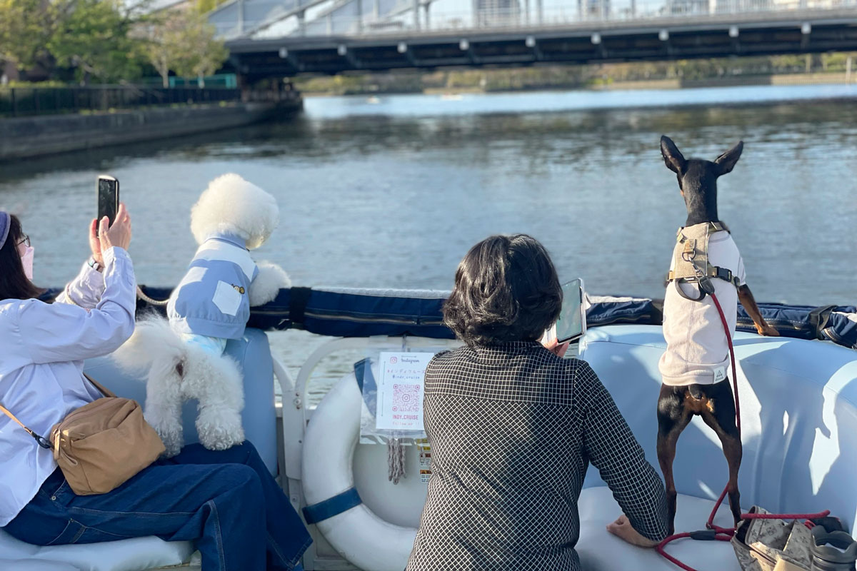愛犬とお花見も楽しめる